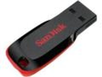 Sandisk Cruzer Blade USB 2.0 4 GB Pen Drive
