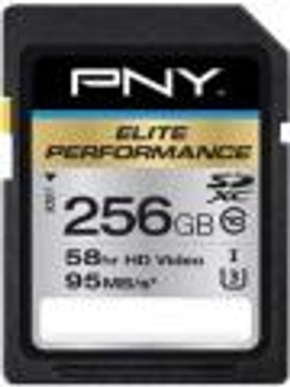 PNY 256GB MicroSDXC Class 10 P-SDX256U395-GE