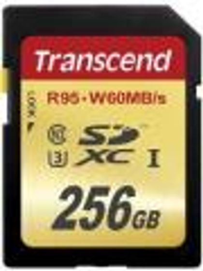 Transcend 256GB SD Class 10 TS256GSDU3