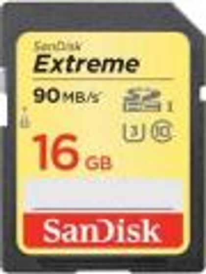 Sandisk 16GB SD Class 10 SDSDXNE-016G