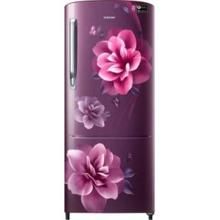 Samsung RR20R172ZCR 190 Ltr Single Door Refrigerator