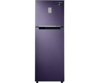 Samsung RT30T3422UT 275 Ltr Double Door Refrigerator