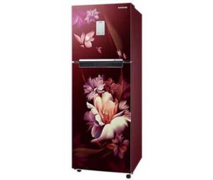 Samsung RT28B3522RZ 244 Ltr Double Door Refrigerator