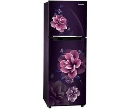 Samsung RT28C3022CR 236 Ltr Double Door Refrigerator