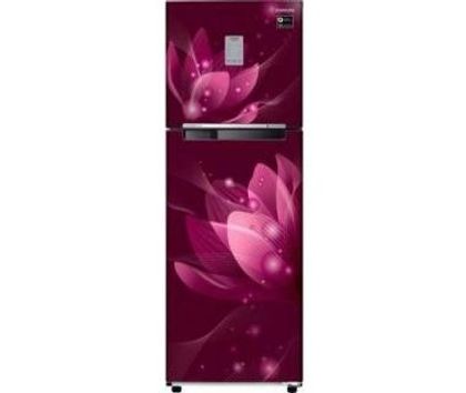 Samsung RT30R3724R8 275 Ltr Double Door Refrigerator