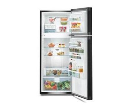 Liebherr TCBS 2630 265 Ltr Double Door Refrigerator